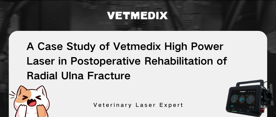 Partage de cas Vetmedix 丨 Thérapie laser haute puissance dans la réhabilitation postopératoire de la fracture radiale de l'ulna